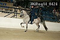 06reg14_0424 thumbnail