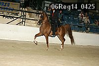 06reg14_0425 thumbnail