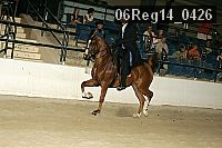 06reg14_0426 thumbnail