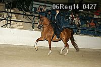 06reg14_0427 thumbnail