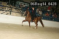 06reg14_0428 thumbnail