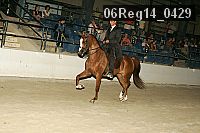 06reg14_0429 thumbnail
