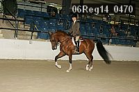 06reg14_0470 thumbnail