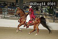 06reg14_0501 thumbnail