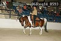 06reg14_0593 thumbnail