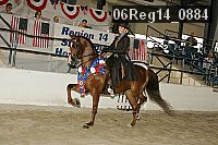 06reg14_0884 thumbnail