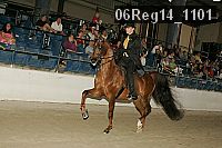 06reg14_1101 thumbnail