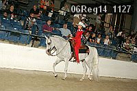 06reg14_1127 thumbnail