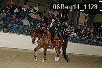 06reg14_1128 thumbnail