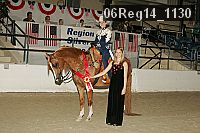 06reg14_1130 thumbnail