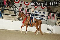 06reg14_1135 thumbnail
