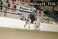 06reg14_1136 thumbnail