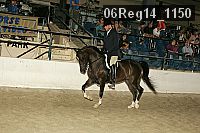 06reg14_1150 thumbnail