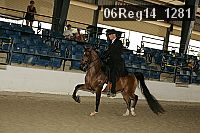06reg14_1281 thumbnail