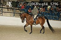 06reg14_1296 thumbnail