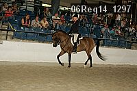 06reg14_1297 thumbnail