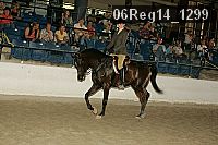06reg14_1299 thumbnail