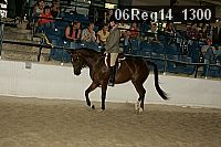 06reg14_1300 thumbnail