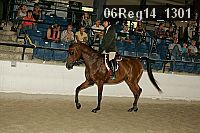 06reg14_1301 thumbnail
