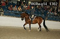 06reg14_1302 thumbnail