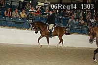 06reg14_1303 thumbnail