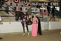 06reg14_1305 thumbnail