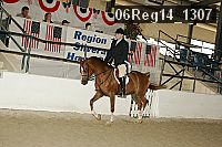 06reg14_1307 thumbnail