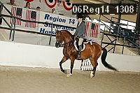 06reg14_1308 thumbnail