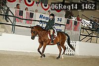 06reg14_1462 thumbnail