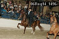 06reg14_1496 thumbnail