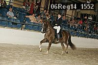 06reg14_1552 thumbnail