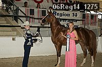 06reg14_1275 thumbnail