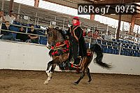 06reg7_0975 thumbnail