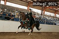 06reg7_0976 thumbnail