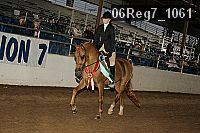 06reg7_1061 thumbnail