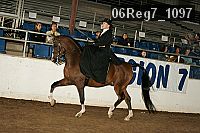 06reg7_1097 thumbnail