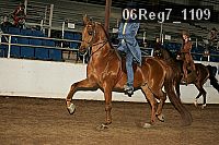 06reg7_1109 thumbnail