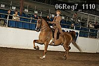 06reg7_1110 thumbnail