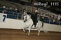 06reg7_1115 thumbnail