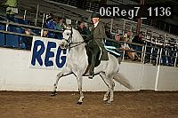 06reg7_1136 thumbnail