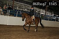 06reg7_1145 thumbnail