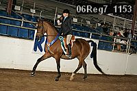 06reg7_1153 thumbnail