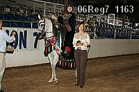 06reg7_1163 thumbnail
