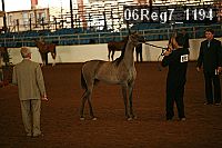 06reg7_1194 thumbnail