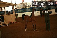 06reg7_1201 thumbnail