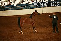 06reg7_1285 thumbnail
