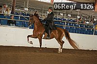 06reg7_1326 thumbnail