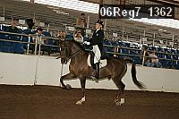 06reg7_1362 thumbnail