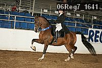 06reg7_1641 thumbnail