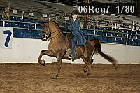 06reg7_1780 thumbnail